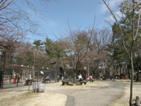 画像15